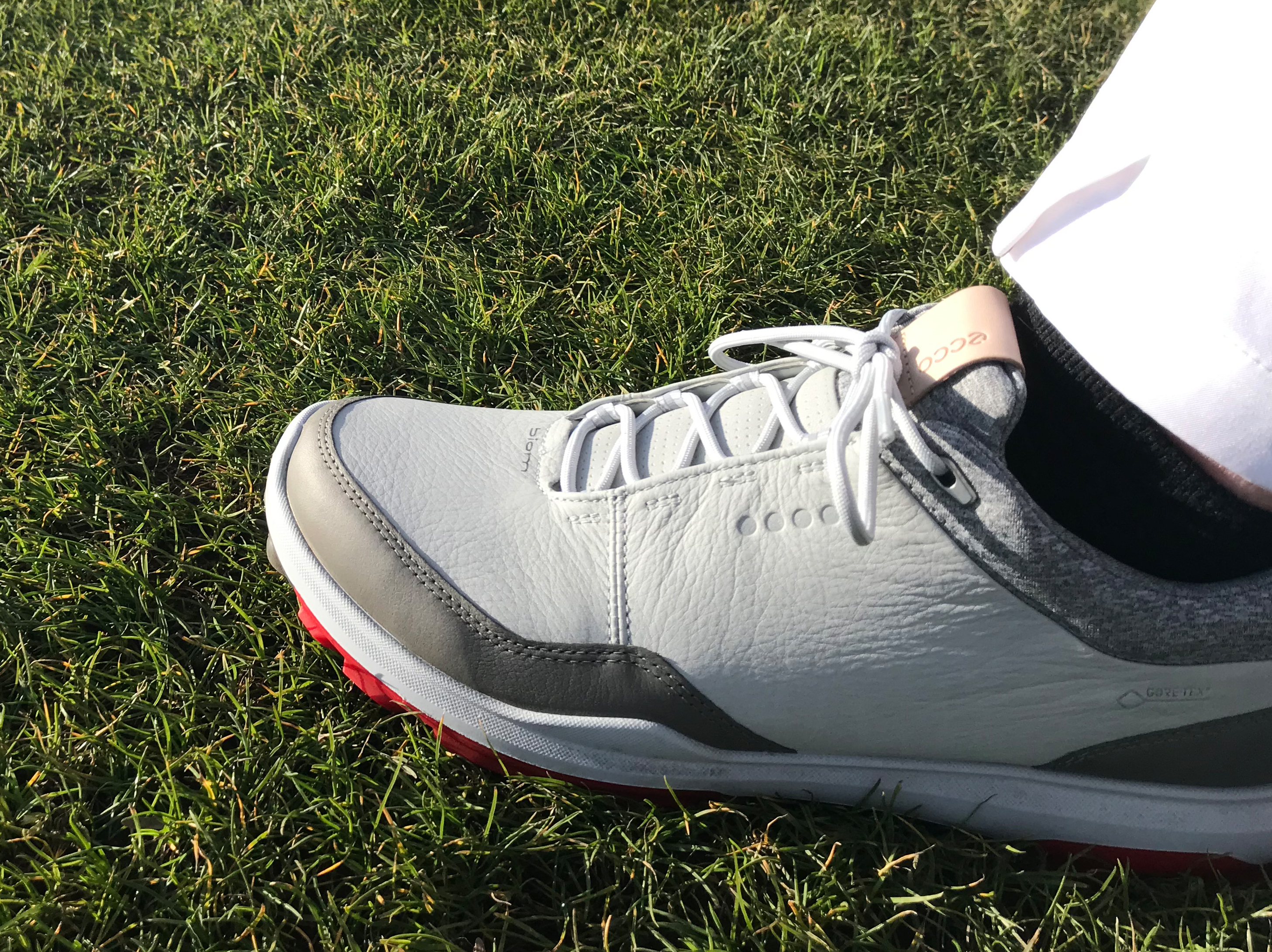 Product Review: Ecco Golf Shoes | The Golf Project